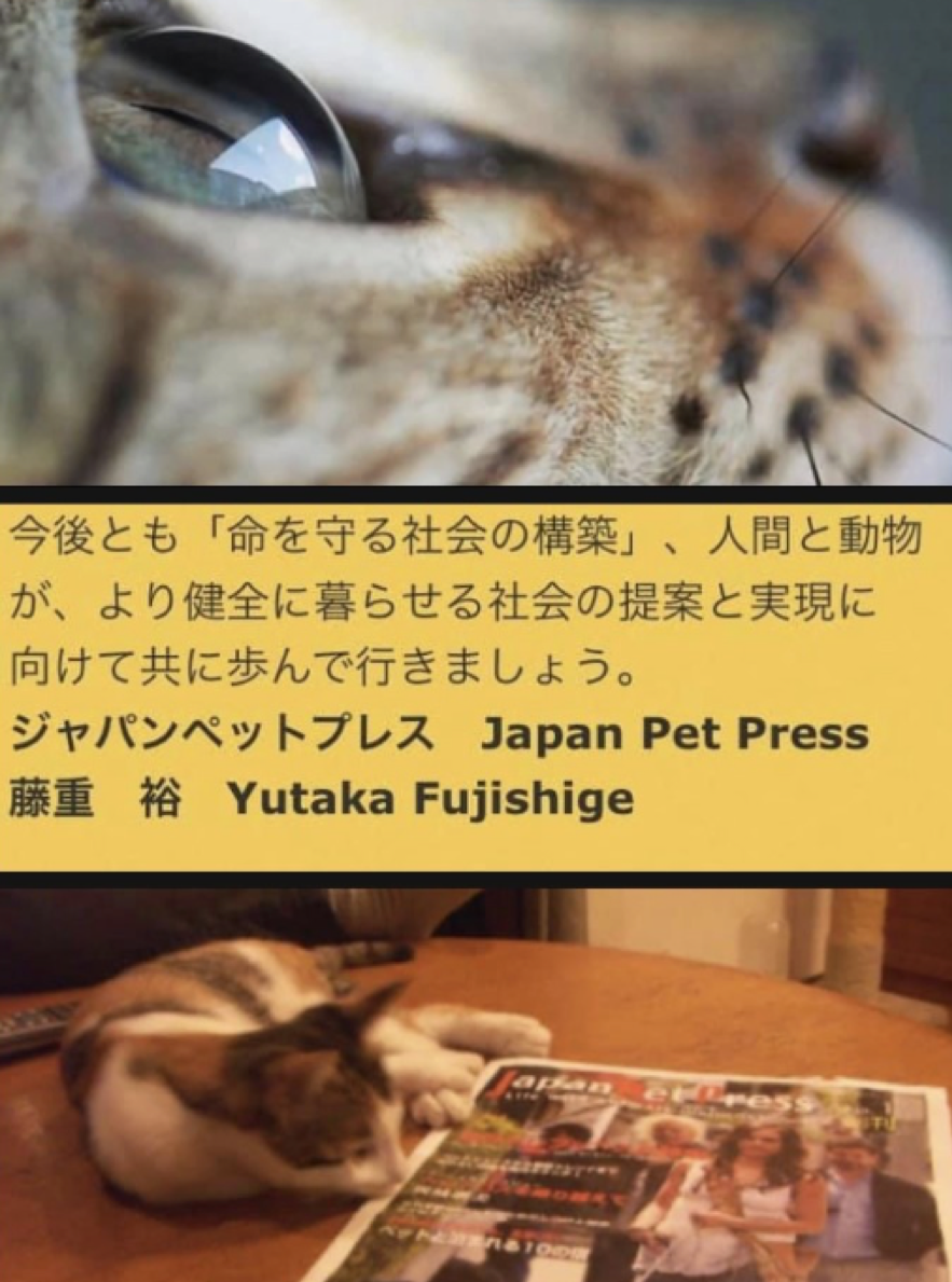 Po1 ぼうさいこくたい2022