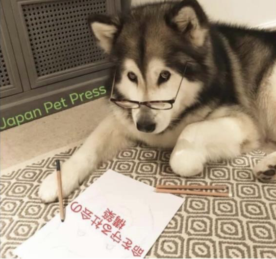 取組紹介画像